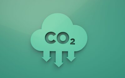 Are You Being Affected by the Co₂ Shortage?